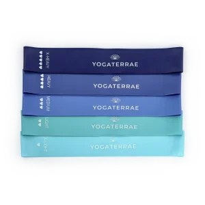 BANDES ÉLASTIQUES DE RÉSISTANCE – 5 INTENSITÉS – BLEU