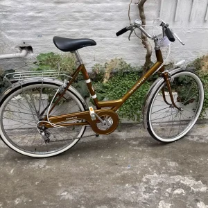 Bicyclette Motoconfort Progress GR