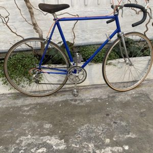 Bertin course grande taille