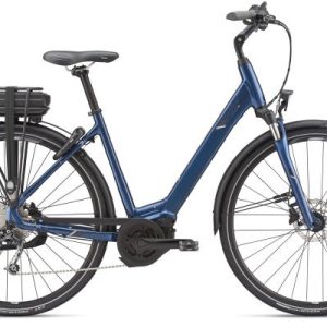 GIANT ENTOUR E PLUS 1 DISC LDS 2019