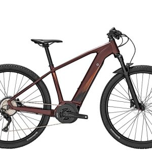 FOCUS JARIFA2 ACTIVE 27 2018 BROWN