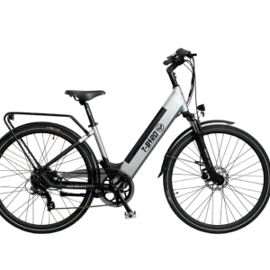 T-BIRD RIO BRAVO GRIS